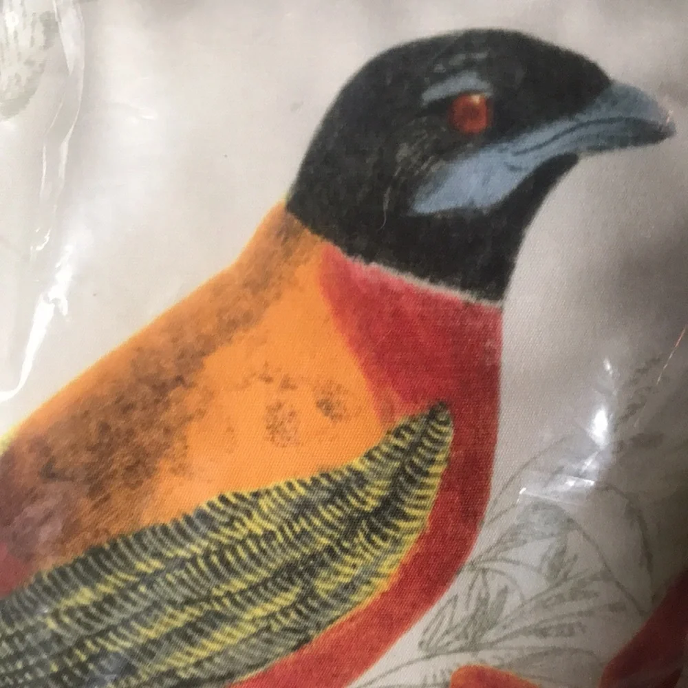 Pottery Barn Alaina Bird Large 20x20 Indoor/Outdoor Pillow with Florals … - Picture 8 of 15